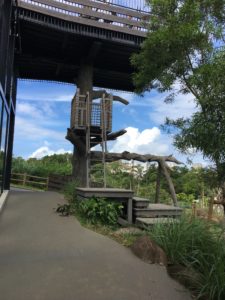 沖縄こどもの国のライオン舎にある展望台